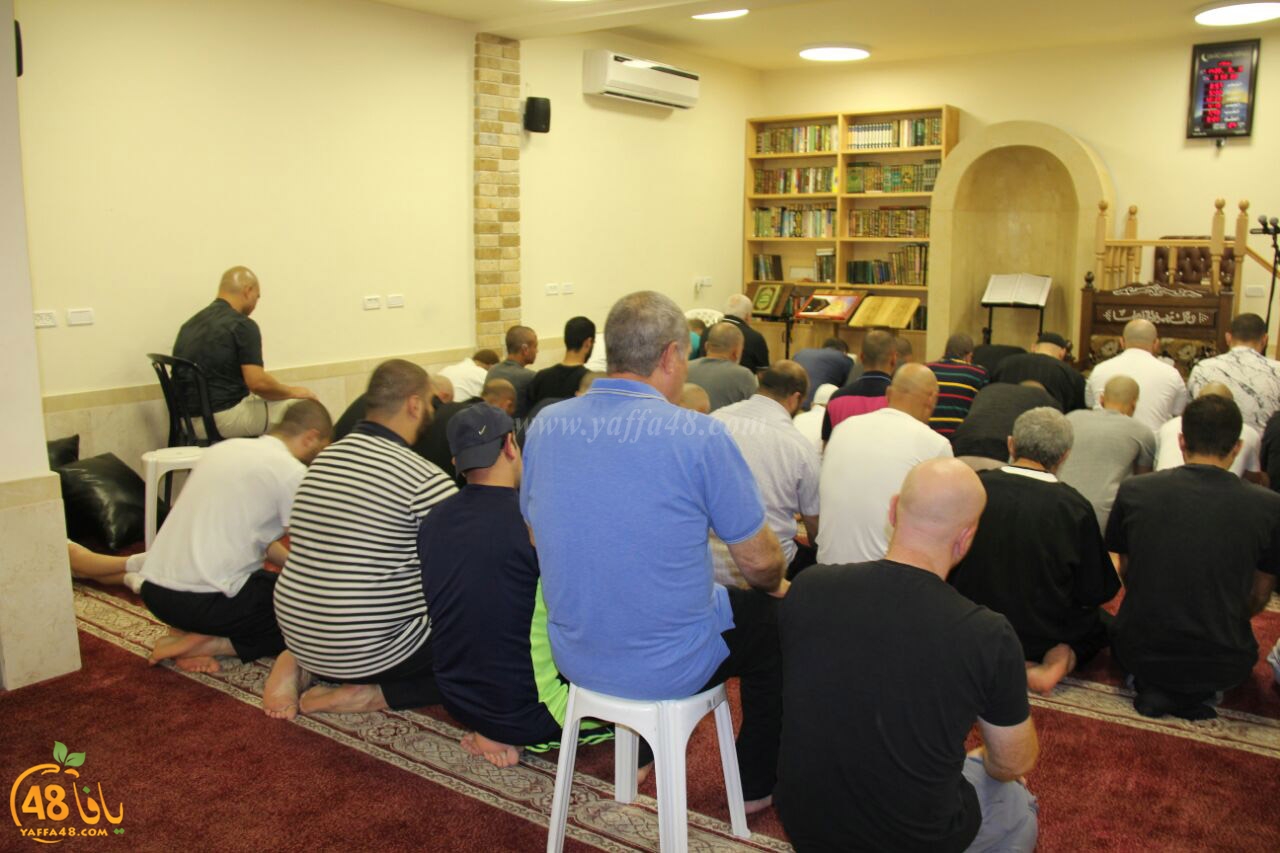 trawe7 mohamed fateh (4).jpg